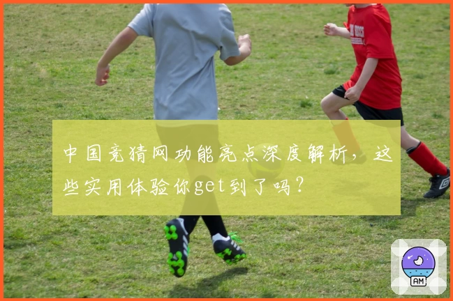 中国竞猜网功能亮点深度解析，这些实用体验你get到了吗？