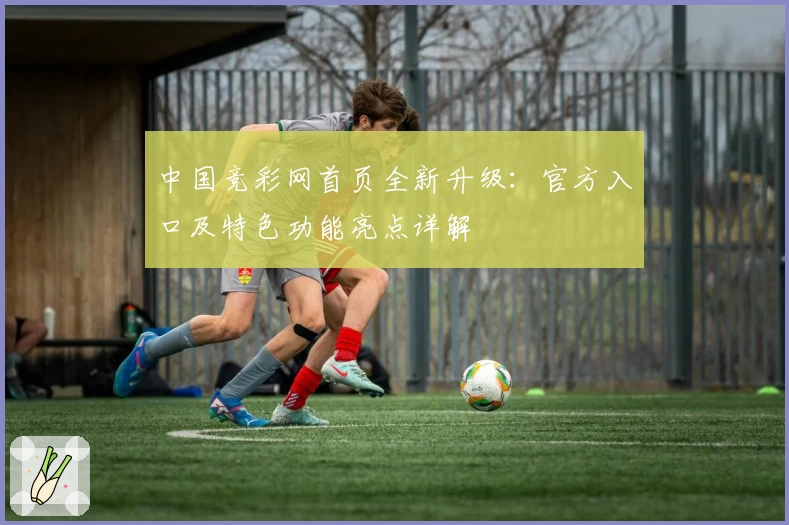 中国竞彩网首页全新升级：官方入口及特色功能亮点详解