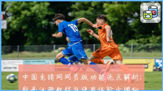 中国竞猜网网页版功能亮点解析：新手注册教程与使用体验全揭秘