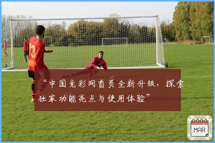 “中国竞彩网首页全新升级,探索独家功能亮点与使用体验”